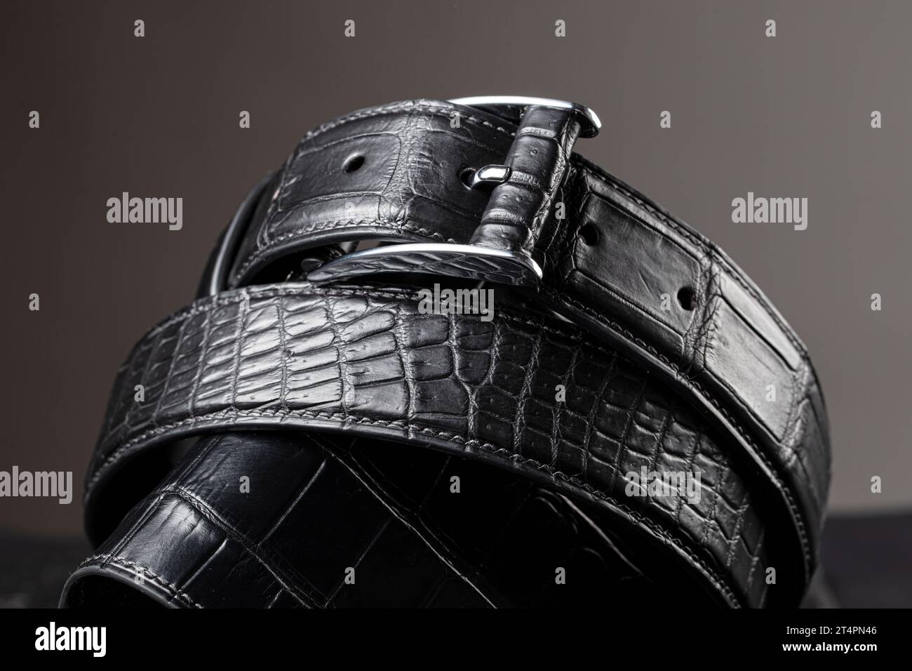 Part of a black crocodile leather belt. Expensive leather goods. Stock Photo