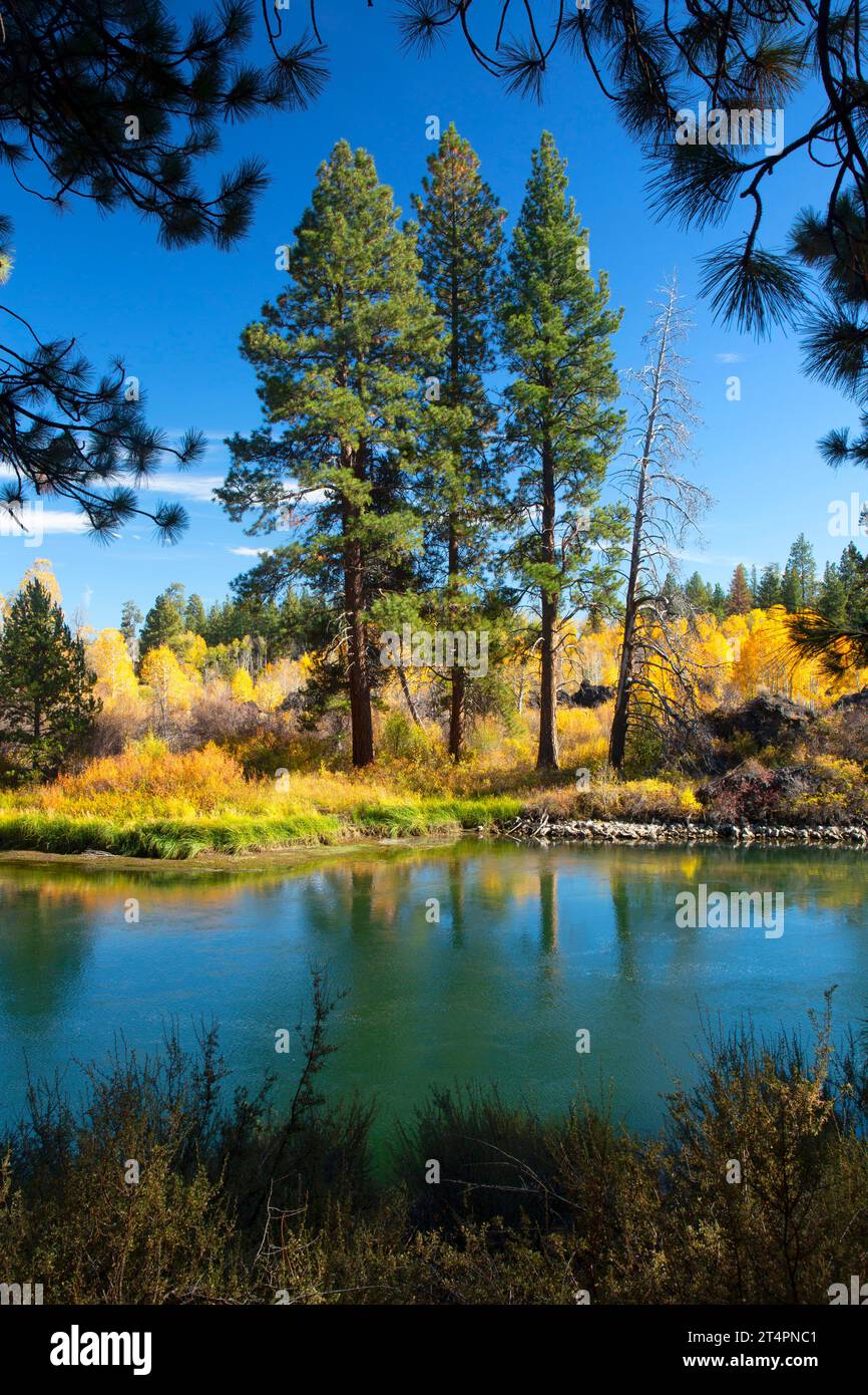 Deschutes Wild and Scenic River in fall foliage along Deschutes River ...