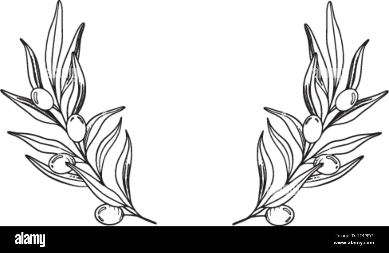 Sketch Wreath of olive branch with berries and leaves. Hand drawn ...