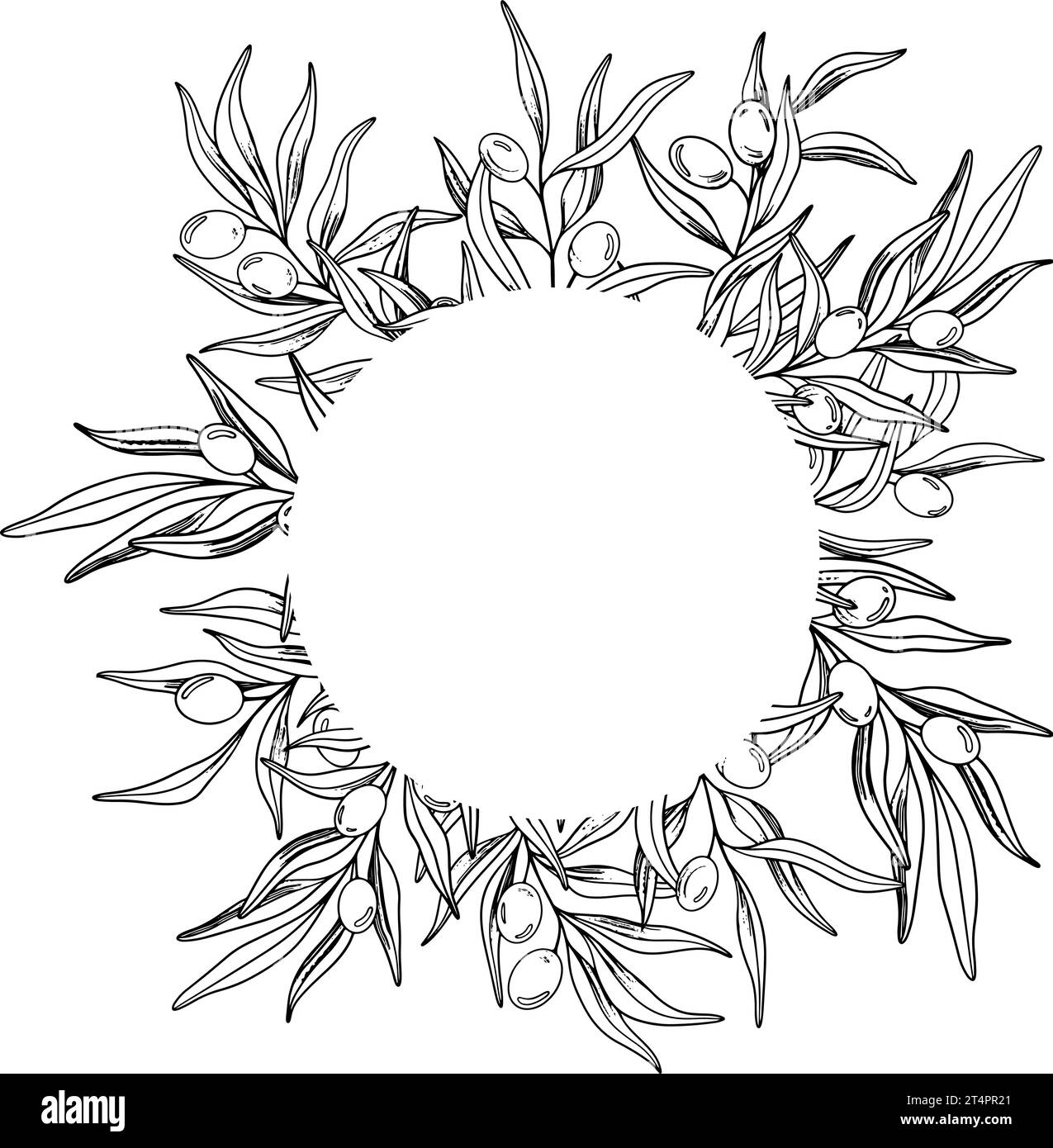 Sketch frame of olive branch with berries and leaves. Hand drawn vector ...