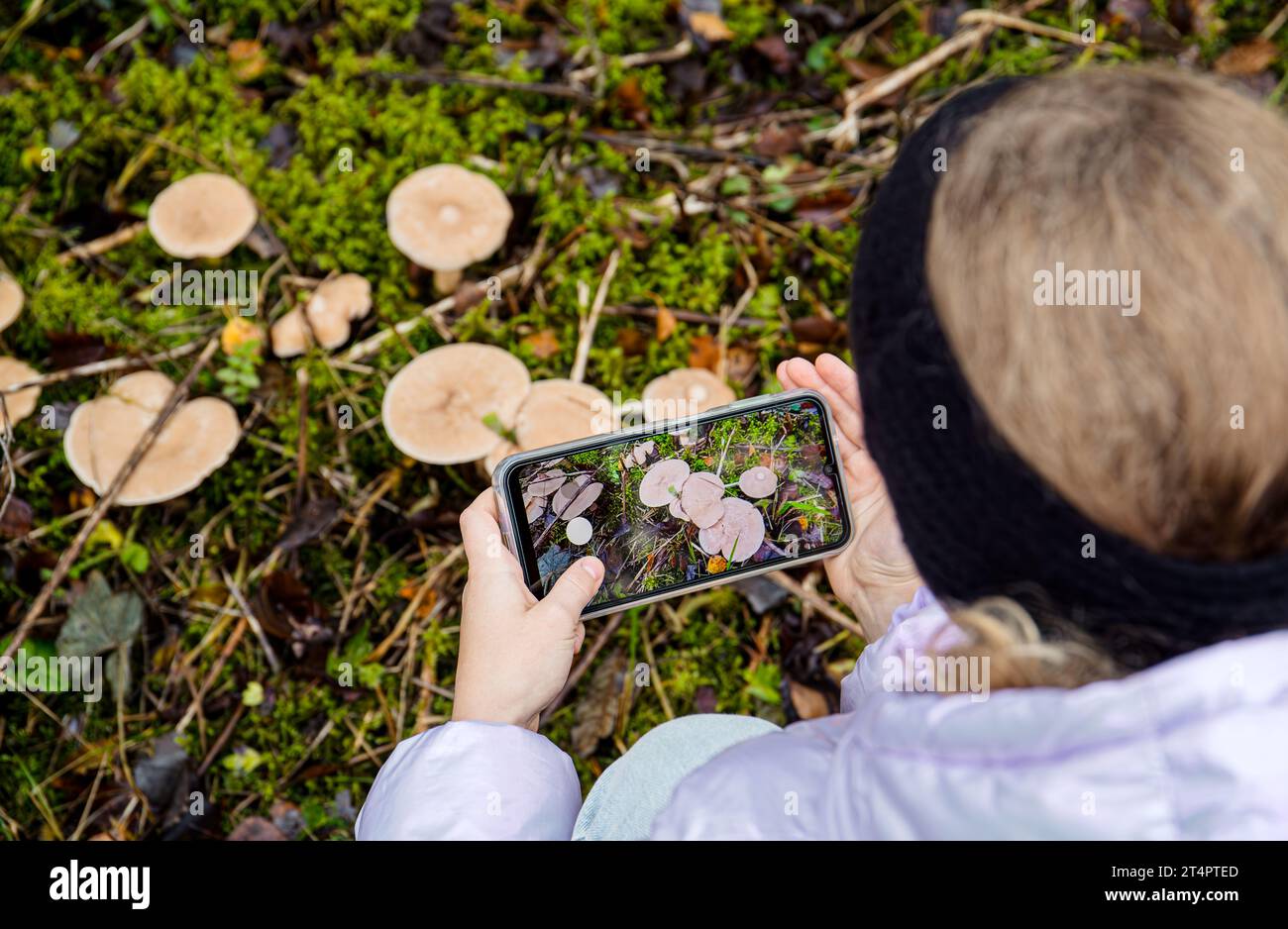 Identify App
