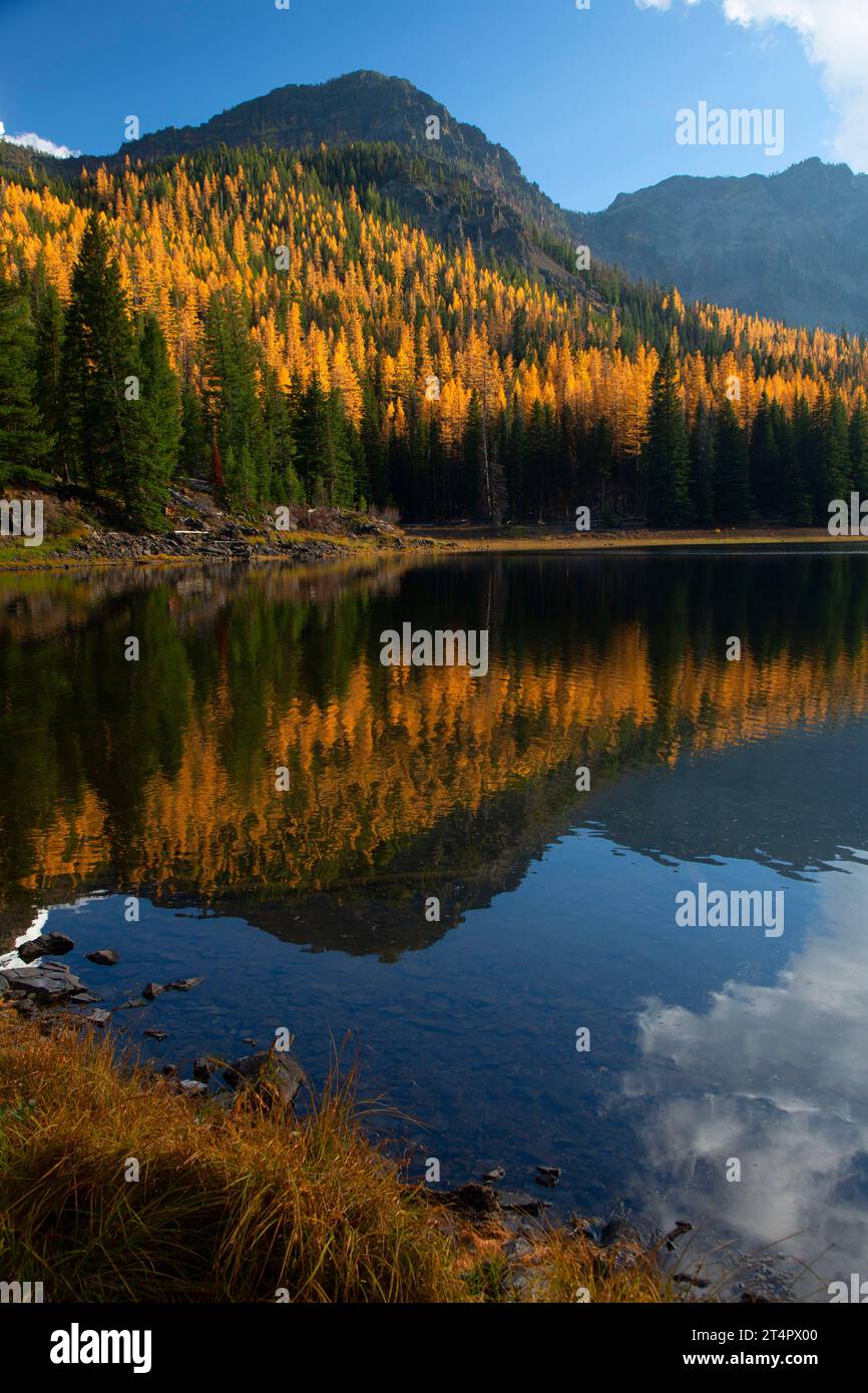 Strawberry Lake with Western larch (Larix occidentalis) in autumn, Strawberry Mountain Wilderness, Malheur National Forest, Oregon Stock Photo