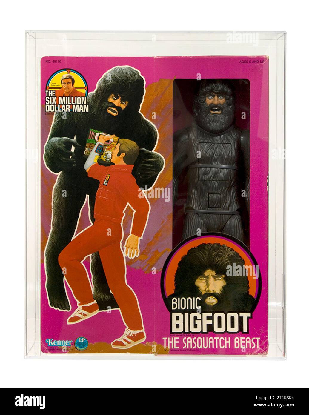 1977 Kenner Six Million Dollar Man 12-Inch Series Boxed Bionic Bigfoot (The Sasquatch Beast) Toy Action Figure AFA 80 Near Mint Condition Stock Photo