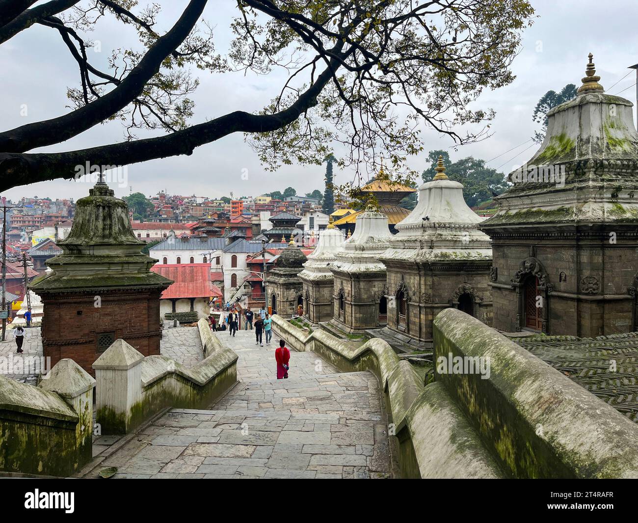Kathmandu, Nepal: view of Pashupatinath Temple, famous Hindu temple dedicated to Pashupati, a form of Shiva, along the banks of sacred Bagmati river Stock Photo