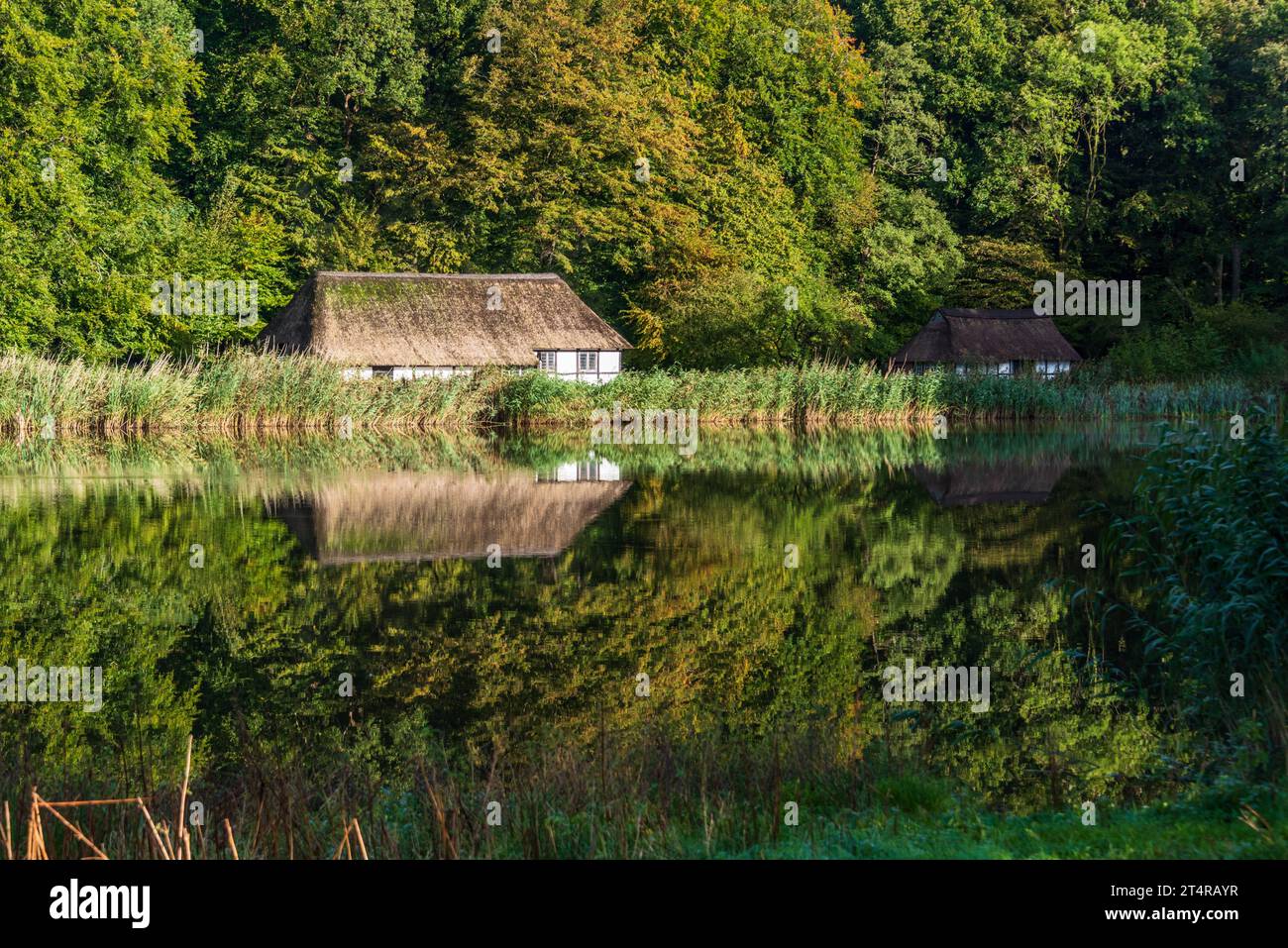 Freilichtmuseum a molfsee hires stock photography and images Alamy