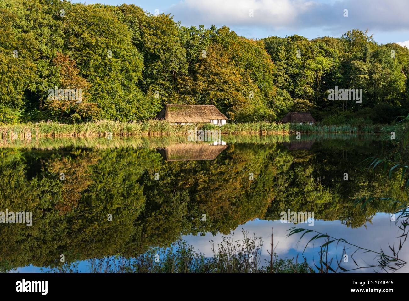 Teich in einem dorf hires stock photography and images Alamy