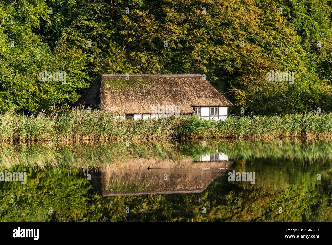 Freilichtmuseum a molfsee hires stock photography and images Alamy