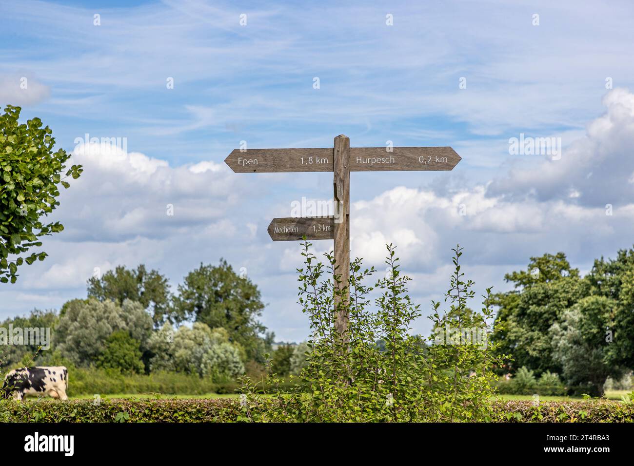 Crossroads in Gulpen-Wittem region, towards Towns: Epen, Hurpesch and Mechelen, hiking trails, Dutch countryside against blue sky, trees in blurred ba Stock Photo
