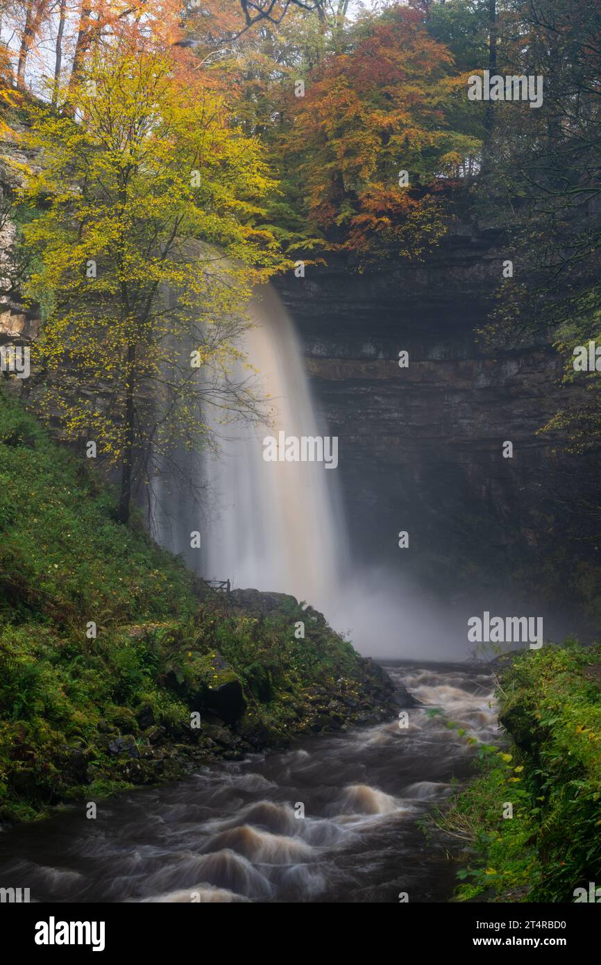 Hardrow Force, England's highest unbroken waterfall at 30m in autumn, near the market town of Hawes in the Yorkshire Dales National Park, UK. Stock Photo