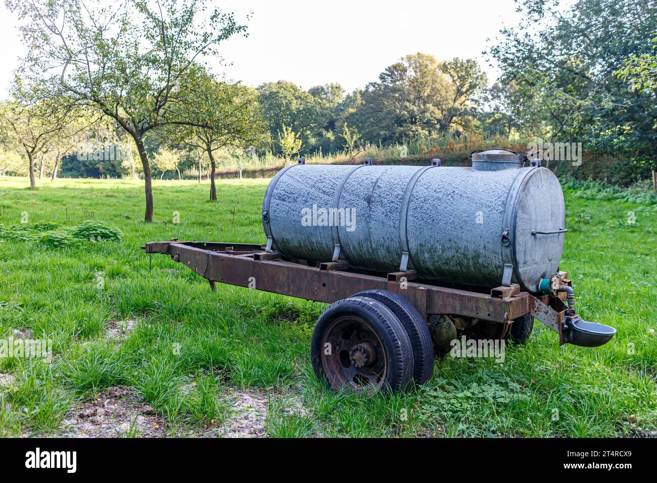 Old mobile water tank or waterer for livestock on an agricultural plot on Dutch farm, trees with