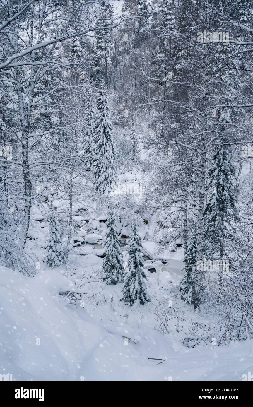 Winter landscape with fair trees under the snow Stock Photo - Alamy