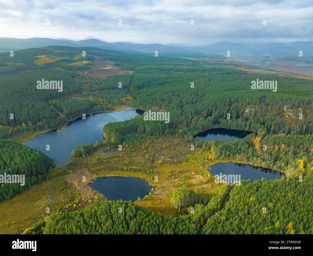 Aerial view of Uath Lochans in autumn  in Glen Feshie, Scottish Highlands, Scotland,, Uk Stock Photo