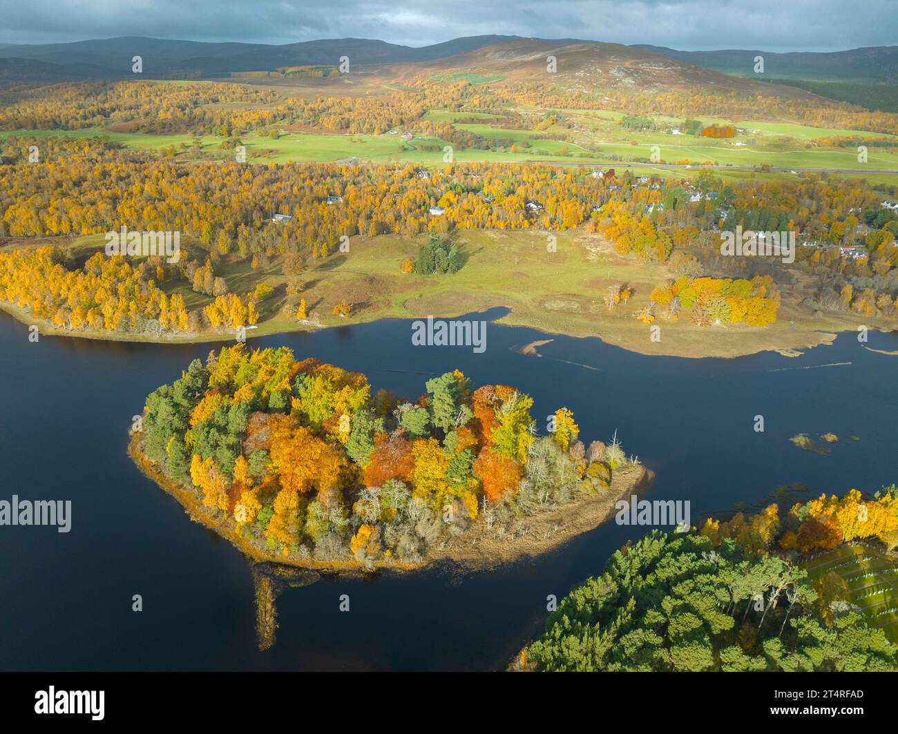 Aerial view of small island Tom Dubh with woodland in autumn colours on Loch Insh at River Spey, Kincraig,  Scottish Highlands, Scotland, UK Stock Photo