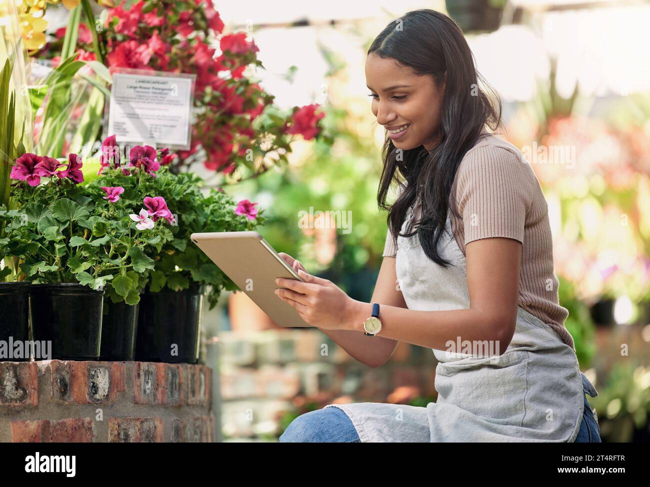 Sunshines her source. a nursery owner using her digital tablet. Stock Photo
