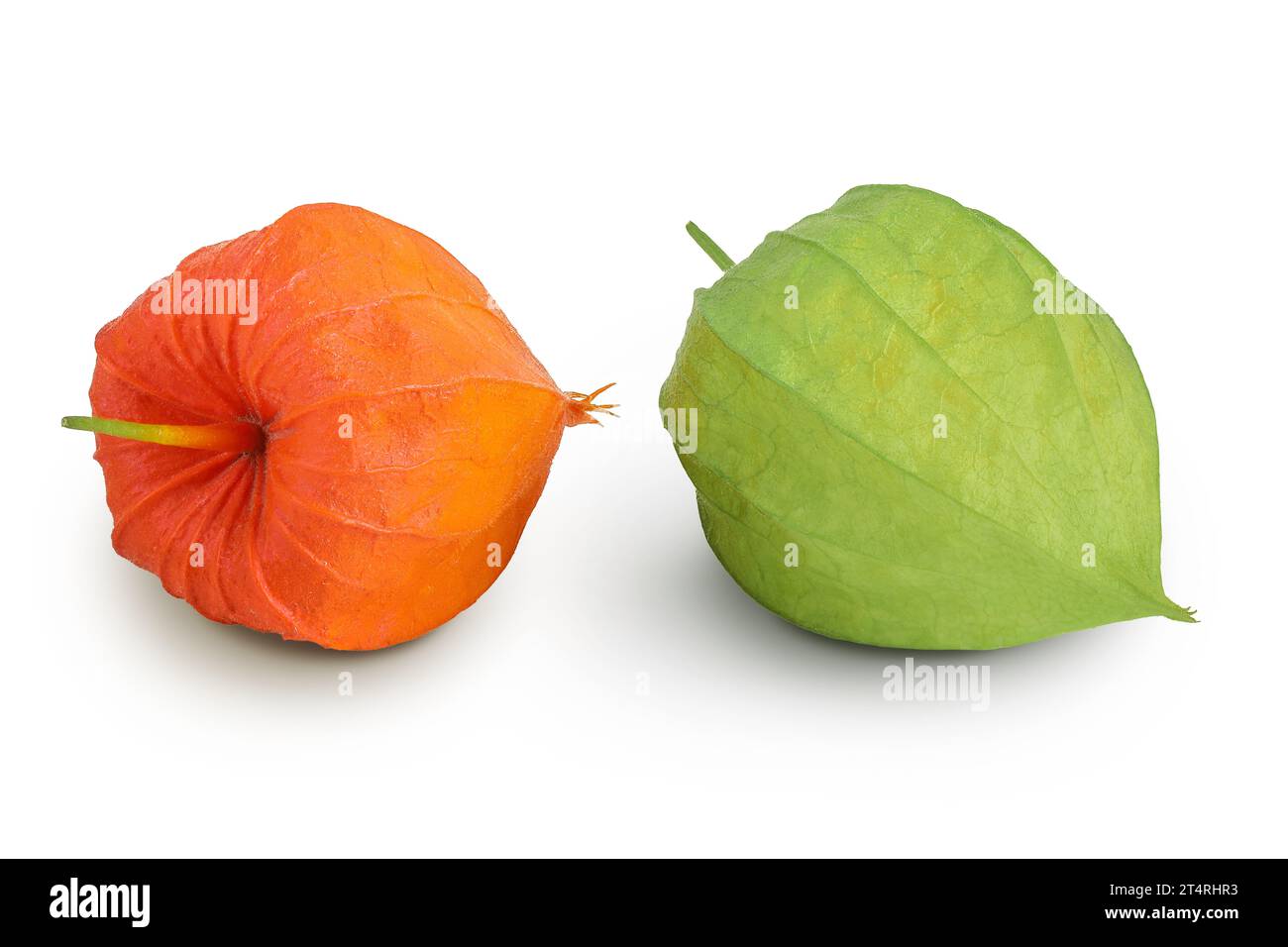 Cape gooseberry, physalis isolated on white background with full depth ...