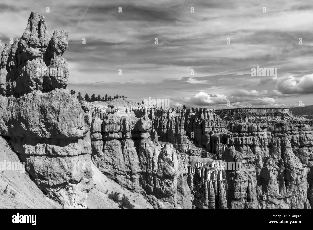 The rugged limestone Hoodoos of Bryce Canyon lining the edge of the Paunsaugunt Plateau, in Black and White Stock Photo