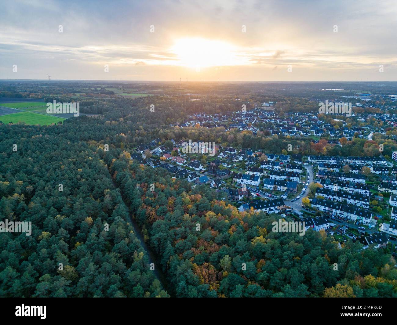 Hamburger wald Banque de photographies et d’images à haute résolution ...