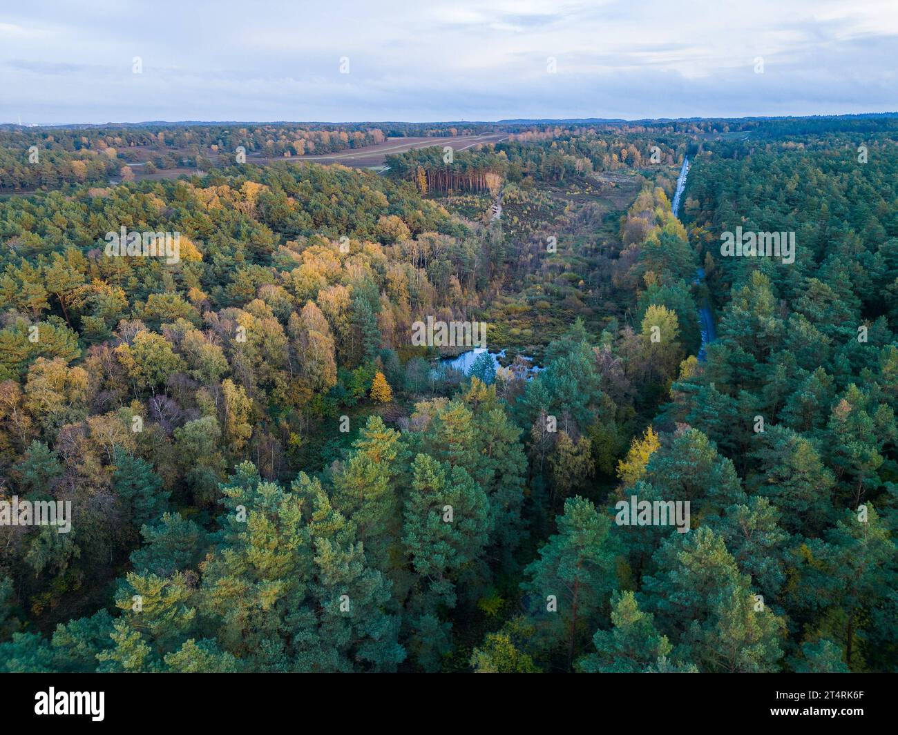 Hamburger wald Banque de photographies et d’images à haute résolution ...