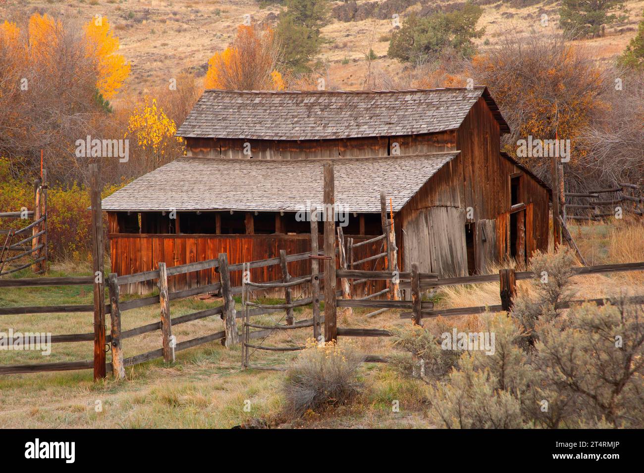 Barn, Donner und Blitzen Wild and Scenic River, Steens Mountain Cooperative Management and Protection Area, Oregon Stock Photo