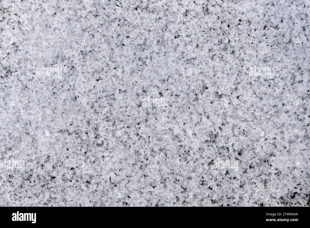 Texture of snow in closeup macro photo Stock Photo