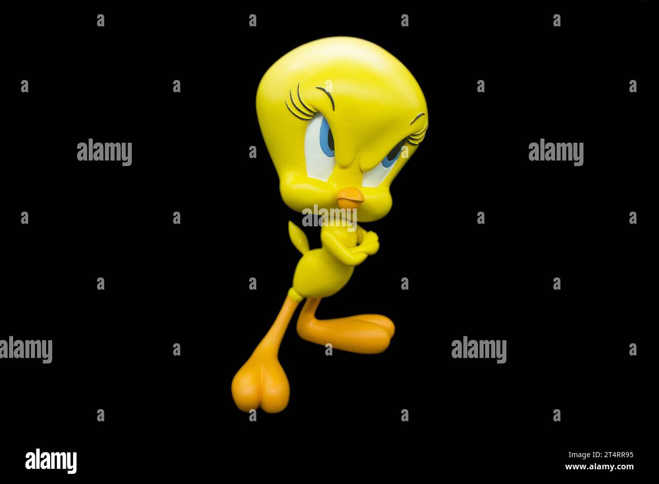 Tweety pie with a black isolated background Stock Photo