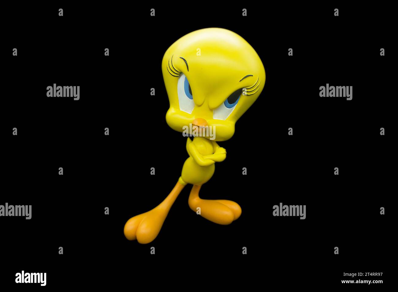 Tweety pie with a black isolated background Stock Photo