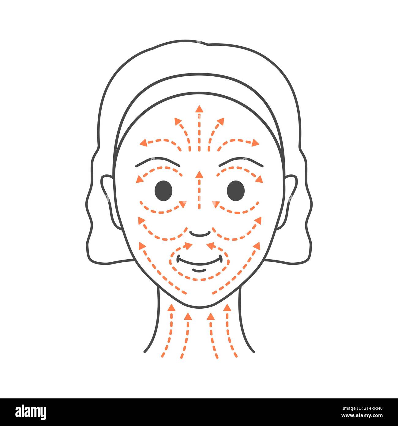 DIY Face Lifting Sculpting Massage Lines Illustration Stock Vector diy-face-lifting-sculpting-massage-lines-illustration-stock-vector