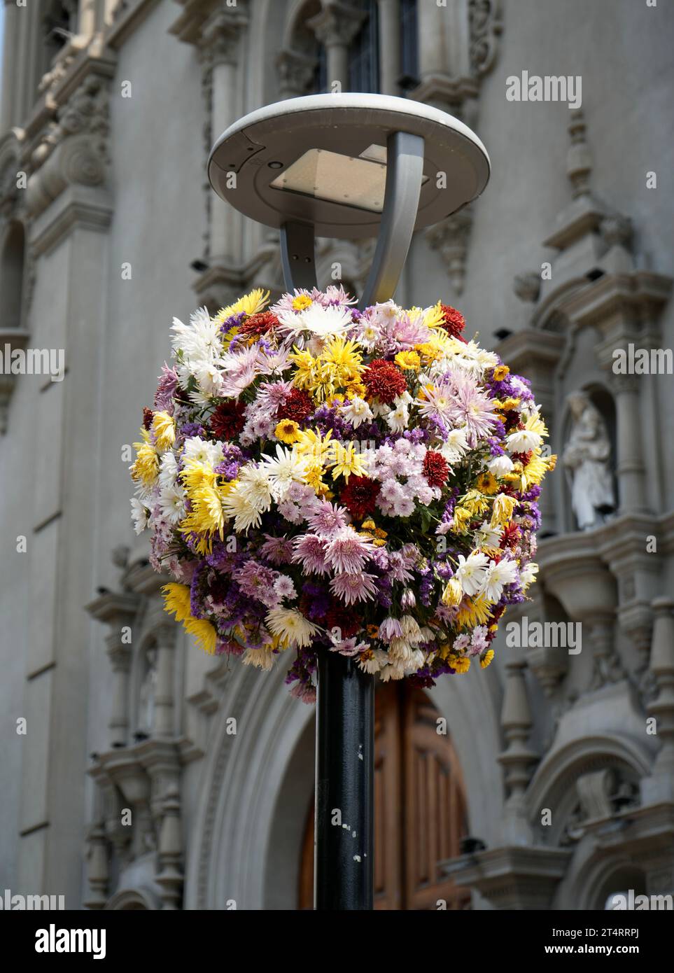 Circular Hanging Basket of multi-colored flowers underneath a streetlamp. Stock Photo
