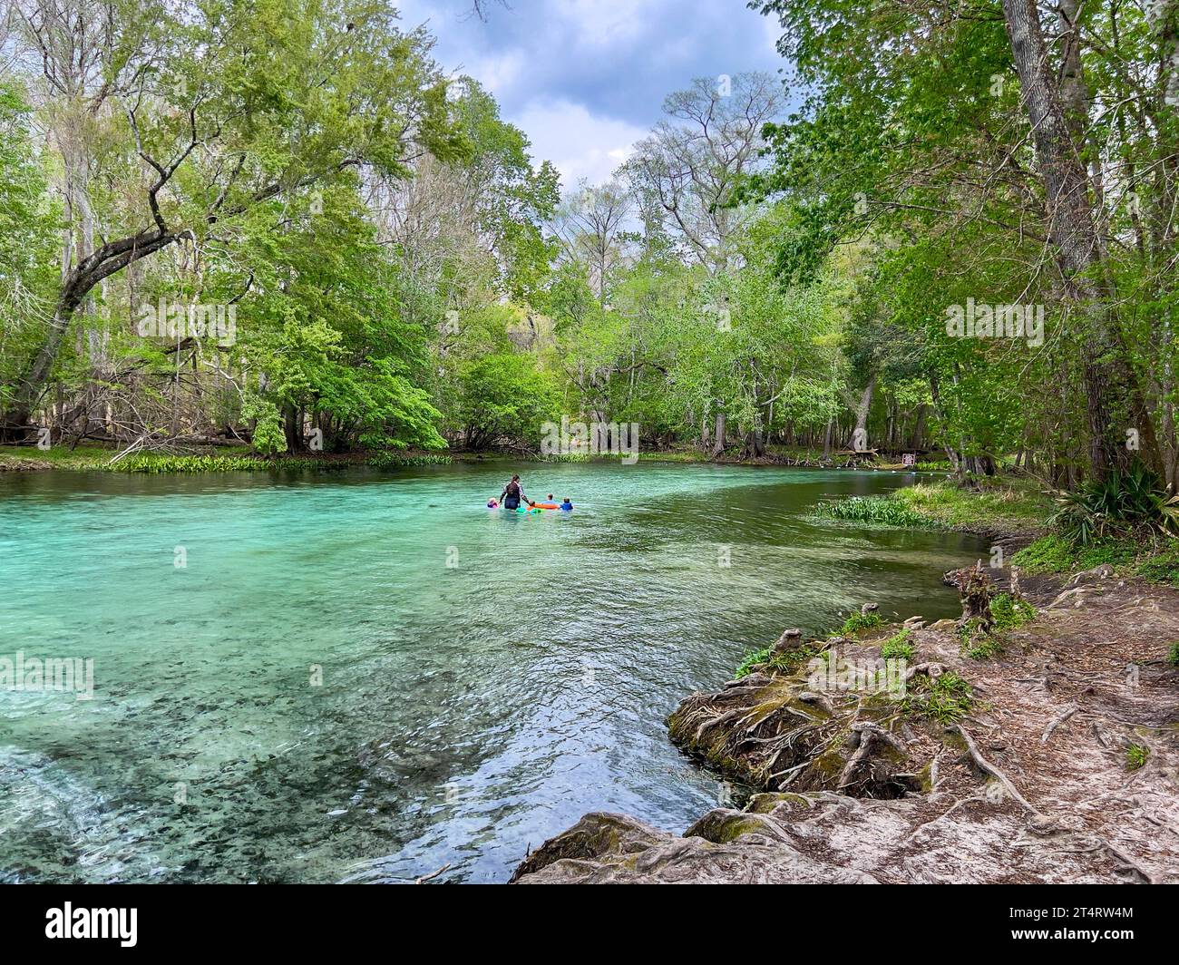 Fort White, FL USA - March 2, 2023:  People swimming in the clear blue water of Gilcrist Blue Springs near Fort White, Florida on a beautiful sunny da Stock Photo