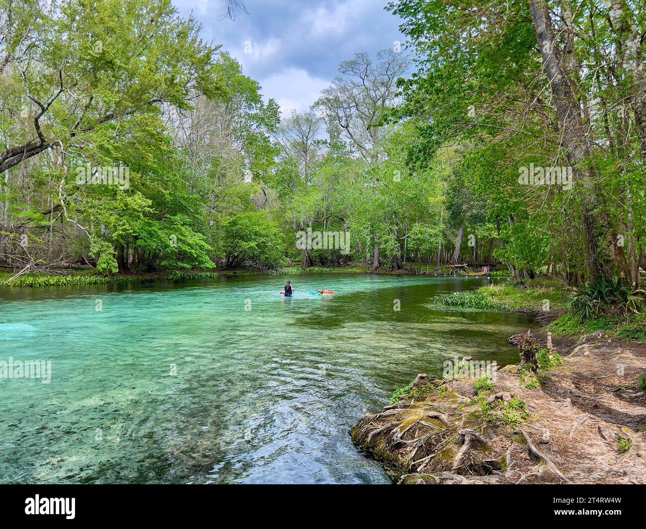 Fort White, FL USA - March 2, 2023:  People swimming in the clear blue water of Gilcrist Blue Springs near Fort White, Florida on a beautiful sunny da Stock Photo