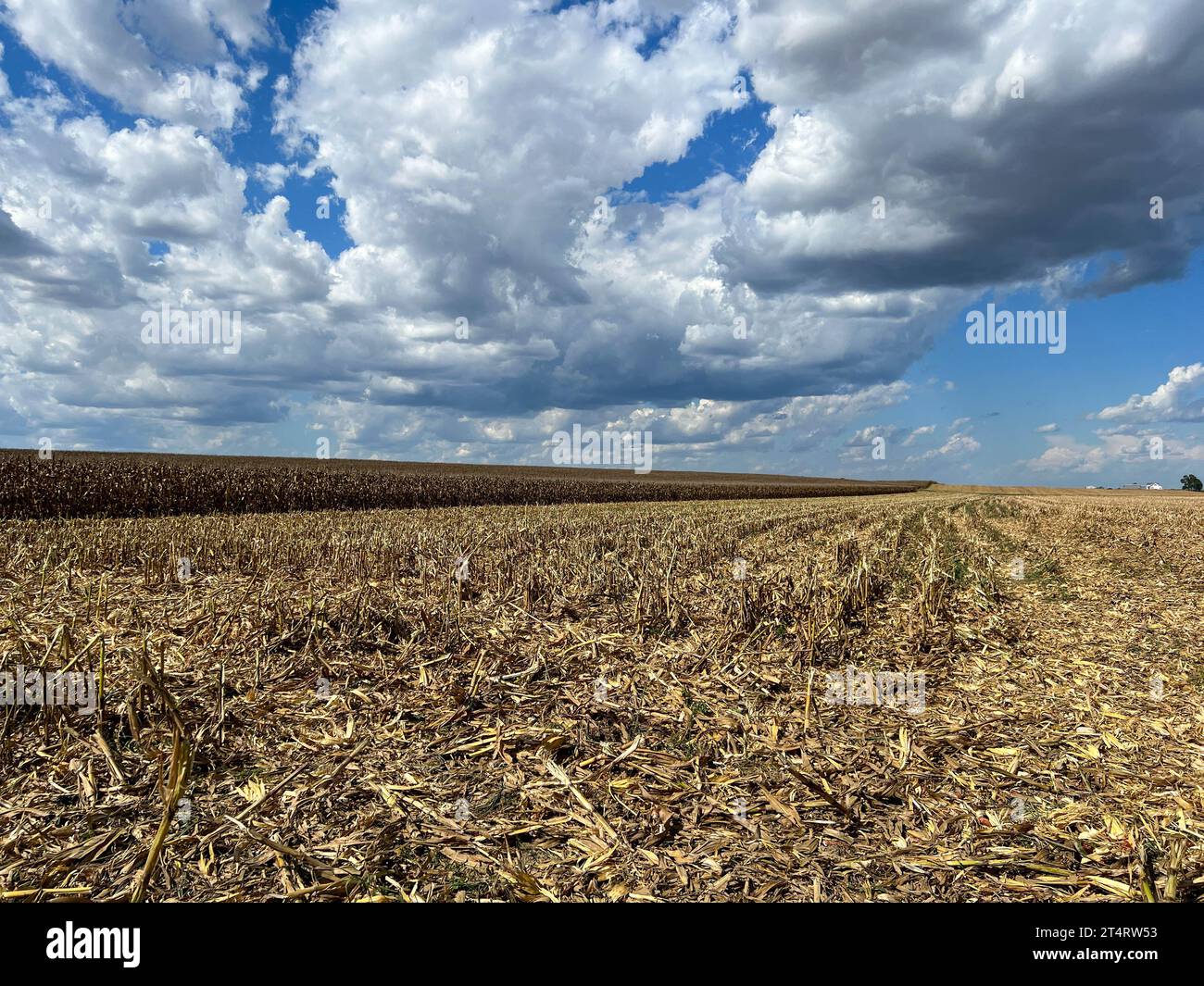 Farm land near Evansville, IL on a fall sunny day Stock Photo Alamy