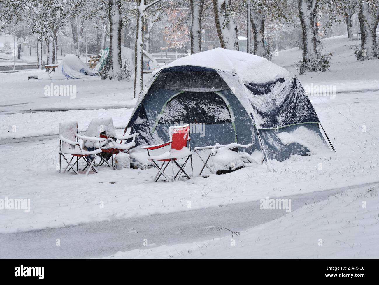 Halifax, Nova Scotia, Canada. November 1st, 2023. The current homeless tent encampment in Victoria Park gets its first dose of winter of the season, as 5-10cm of snow falls on the city and the temperatures are expected to drop below freezing overnight. As the official number of homeless in the city approaches a thousand, 50% more that last year, the arrival of winter is a major concern for the supporting organisms with still no definite plans in place from governments sufficient to address the issue. Credit: meanderingemu/Alamy Live News Stock Photo