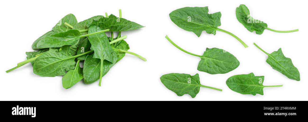 fresh spinach isolated on white background clouseup Stock Photo - Alamy