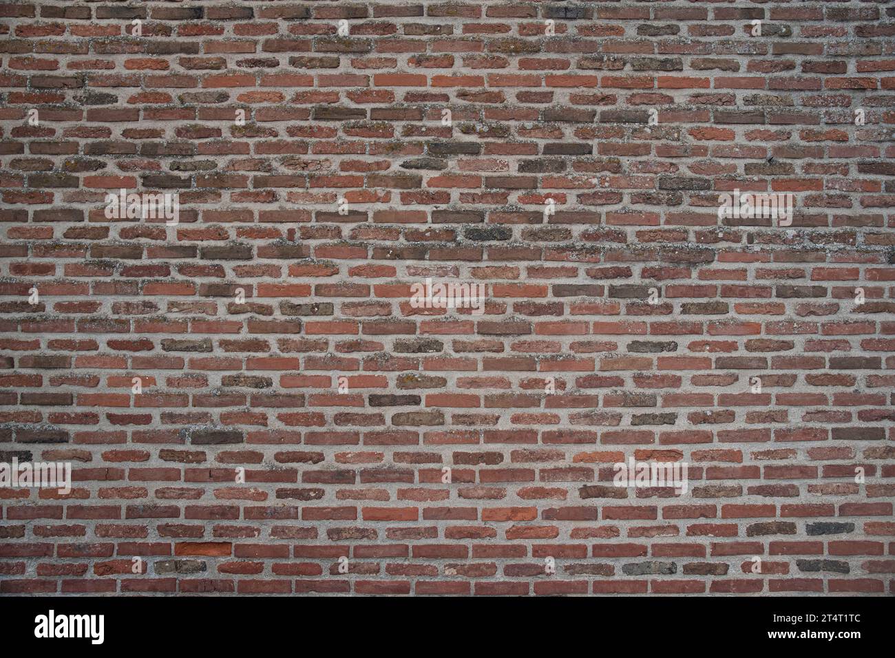 Old red brick wall texture Stock Photo