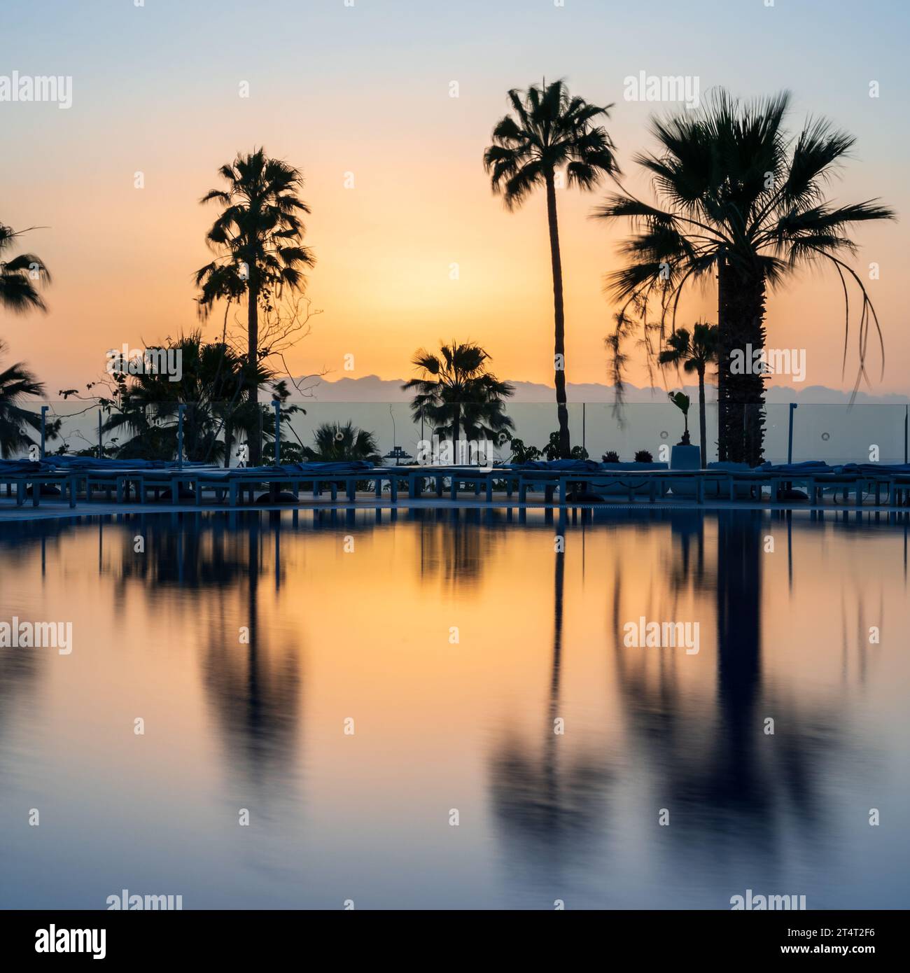 Palm trees silhoutted against an orange sunset, reflected in very calm water, on Tenerife, Spain Stock Photo