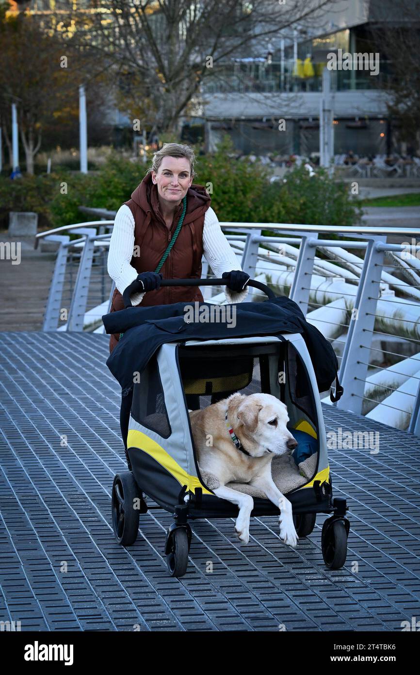 Woman pushing elderly dog in cart Stock Photo