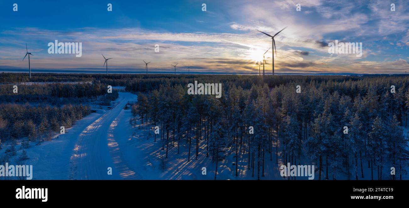 Rising Tree Wind Farm