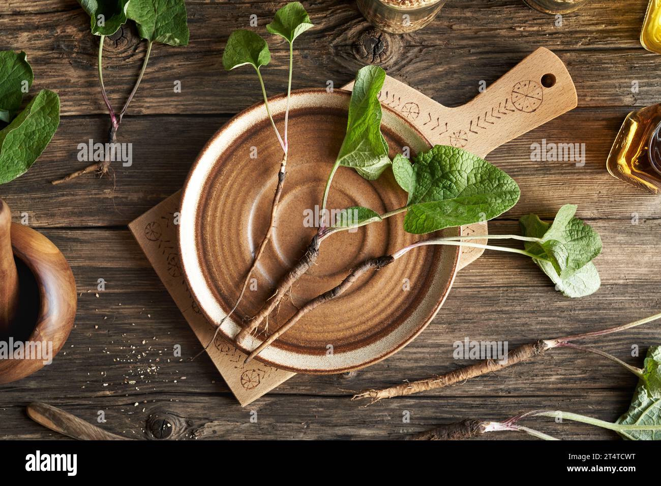 Burdock root on a plate on a table, top view Stock Photo