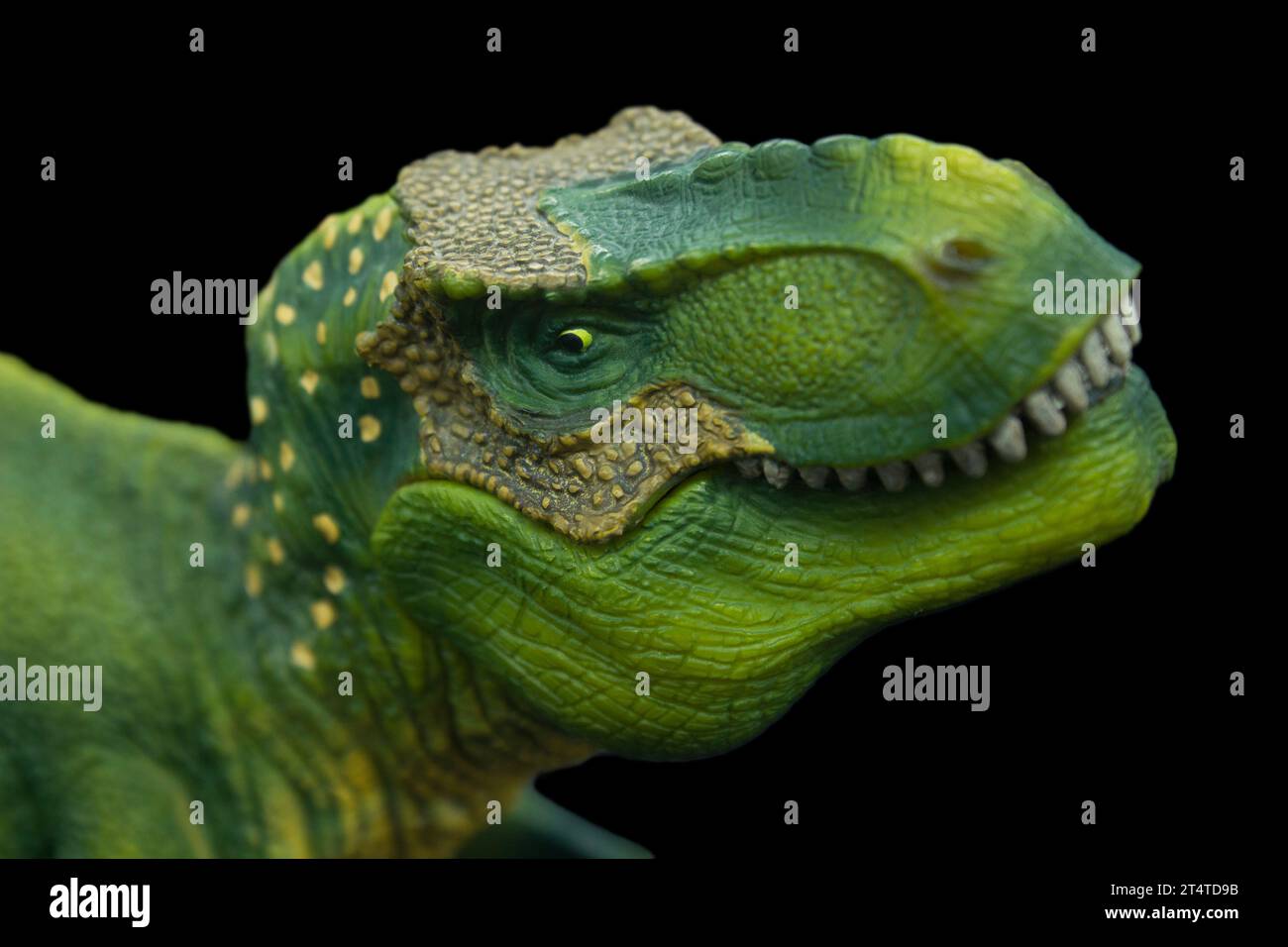 King of tyrant lizards hi-res stock photography and images - Alamy