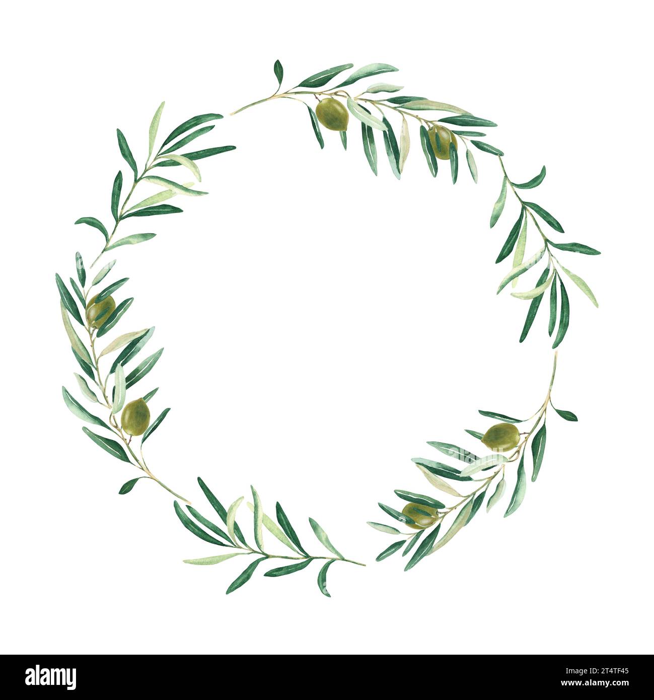 Watercolor olive wreath with green olives. Isolated on white background ...