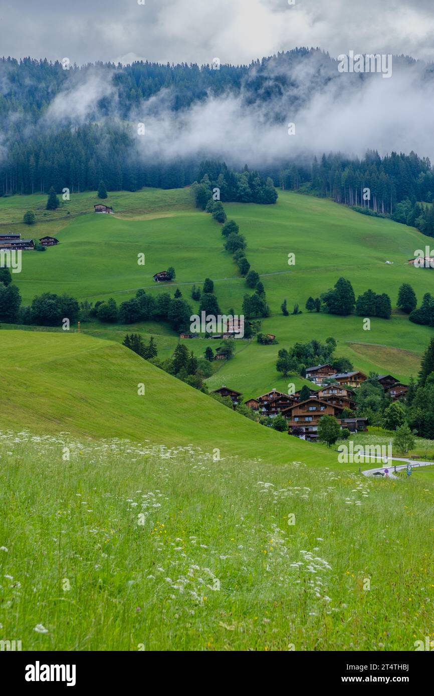 Elevated view of Alpbach, village in Austrian Alps. Stock Photo