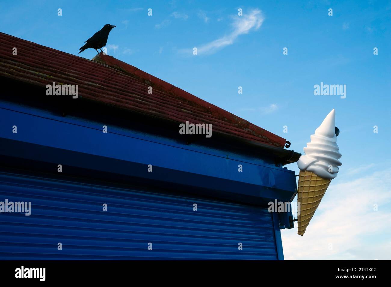 bird crow sat on top of closed seasonal seafront ice cream seller next