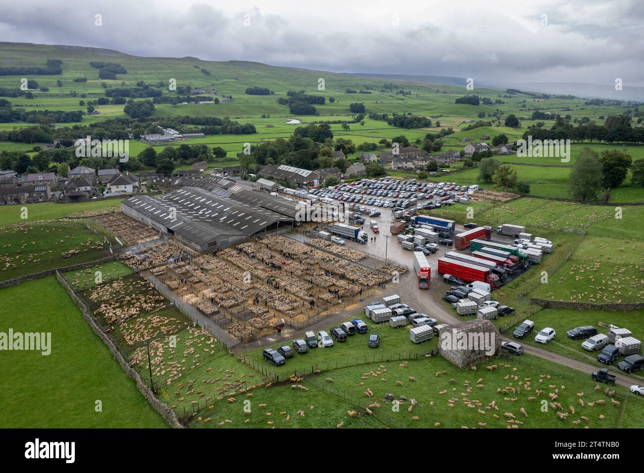 Aerial view of the North of England mule gimmer lamb sale at Hawes Auction mart, North Yorkshire, UK. Stock Photo