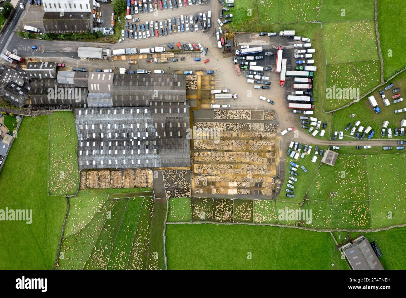 Aerial view of the North of England mule gimmer lamb sale at Hawes Auction mart, North Yorkshire, UK. Stock Photo