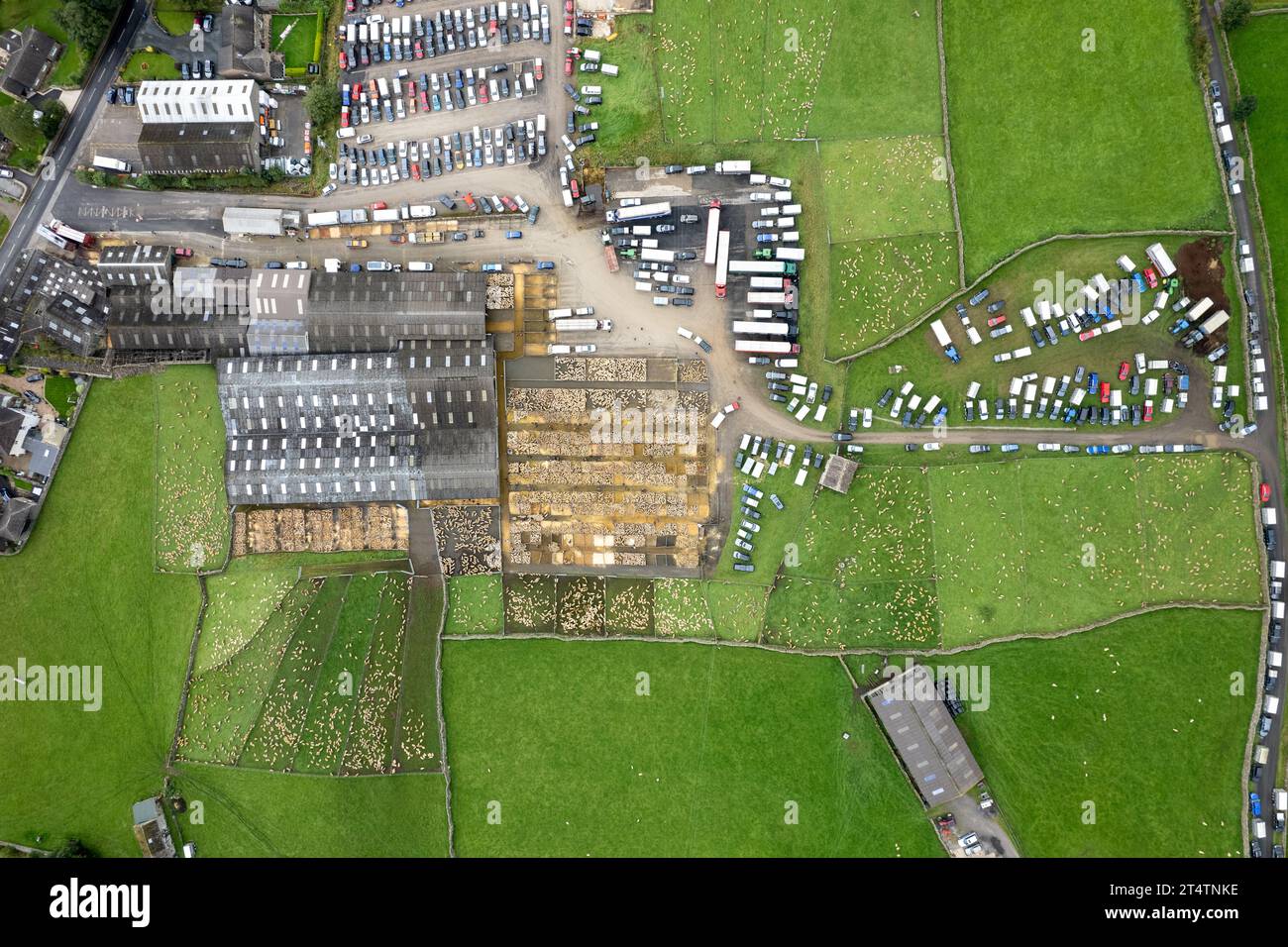Aerial view of the North of England mule gimmer lamb sale at Hawes Auction mart, North Yorkshire, UK. Stock Photo