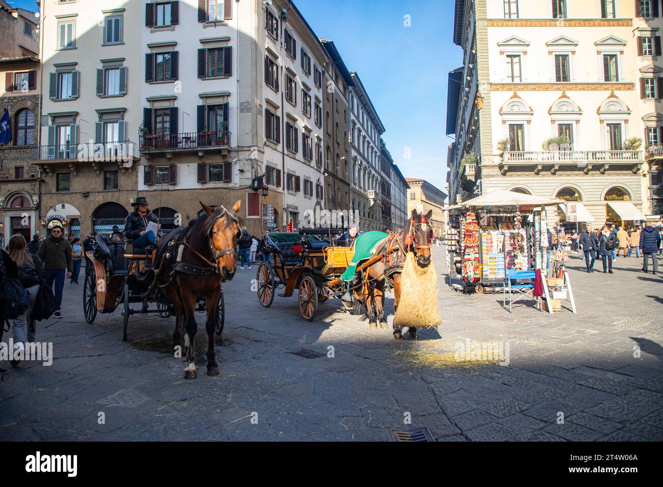 Roman horse carriage hi-res stock photography and images - Alamy