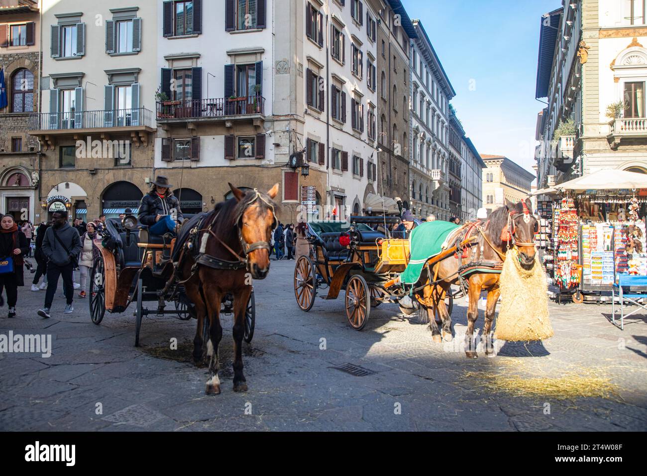 Roman horse carriage hi-res stock photography and images - Alamy