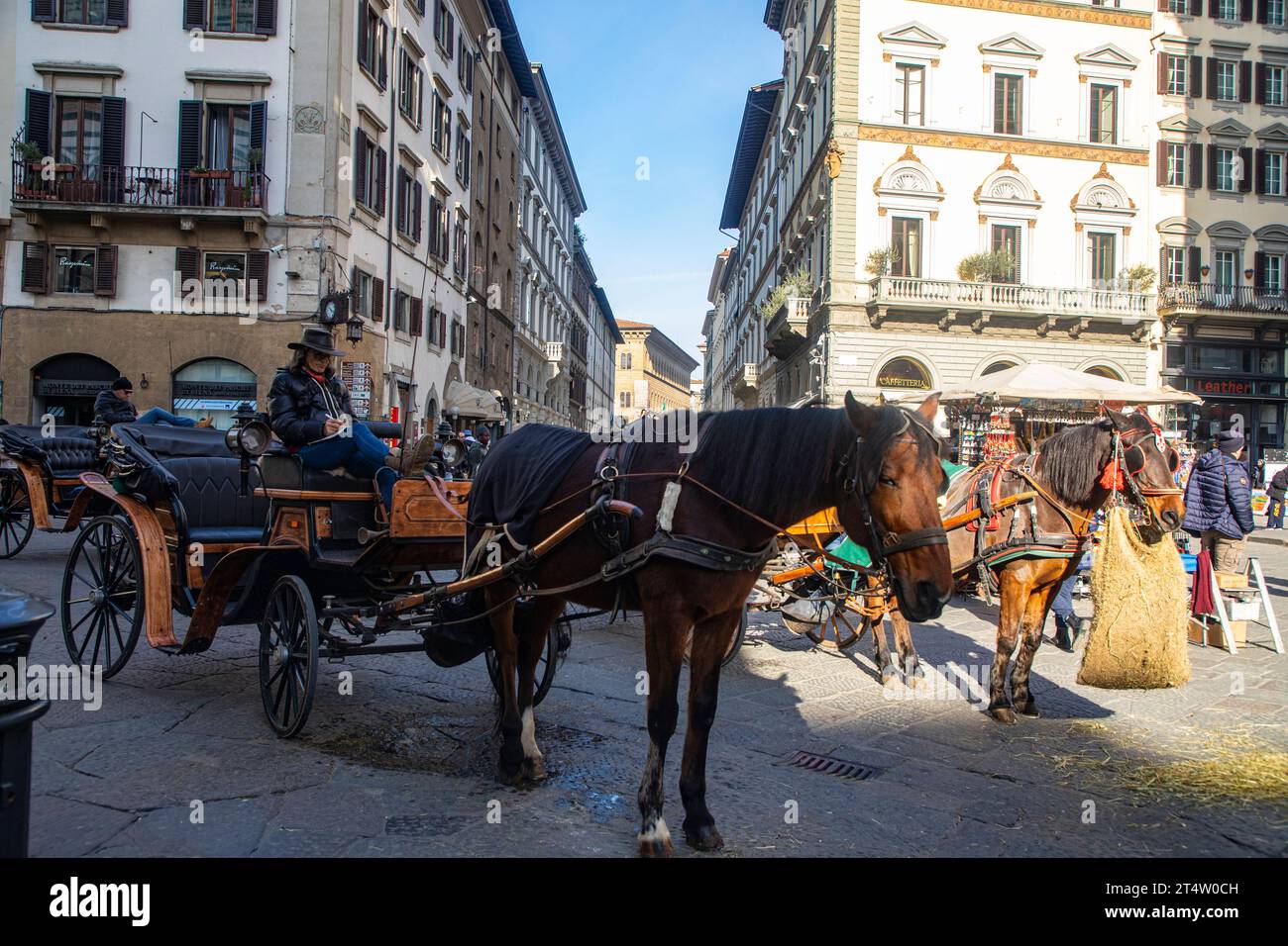 Roman horse carriage hi-res stock photography and images - Alamy