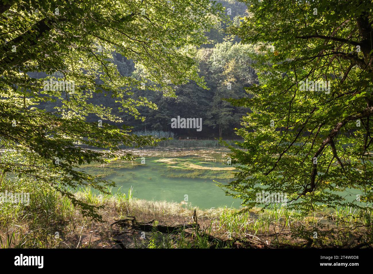 Picture of Jankovac pond in Papuk, Croatia. Papuk is the largest mountain in the Slavonia region in eastern Croatia, near the city of Požega. It exten Stock Photo