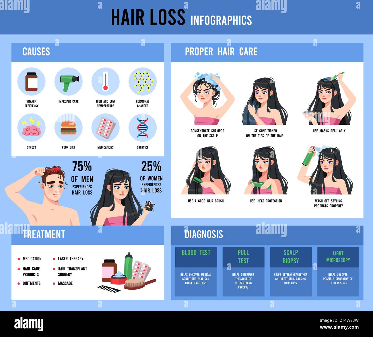 Hair Loss Infographic Medical Educational Poster On Alopecia